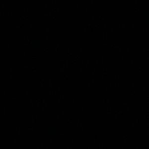 Meet your Posher, Noe